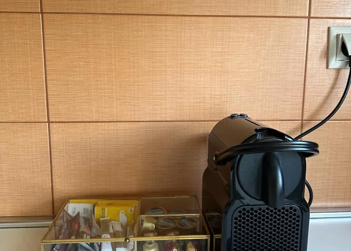 Vas House Apartman *